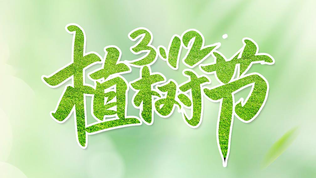 植此青绿，生生不息