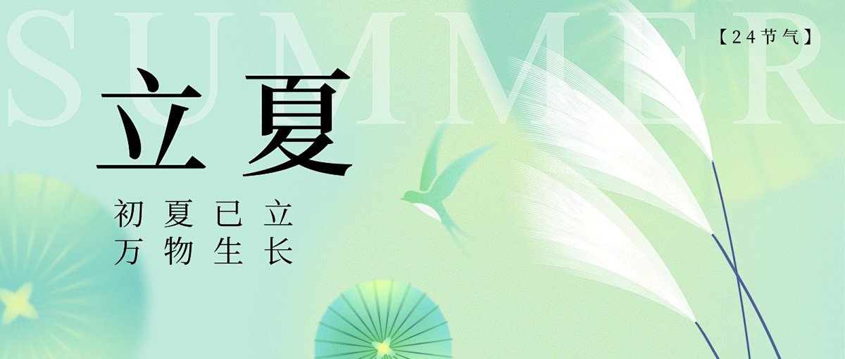 赛达通丨迎夏而立，风华正茂