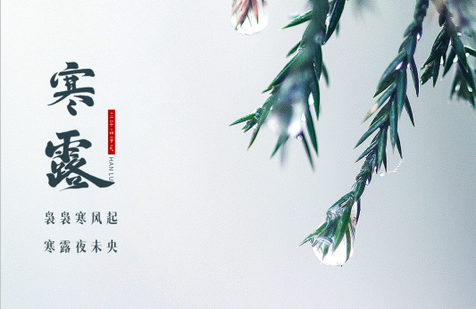 赛达通丨袅袅寒风起，寒露夜未央