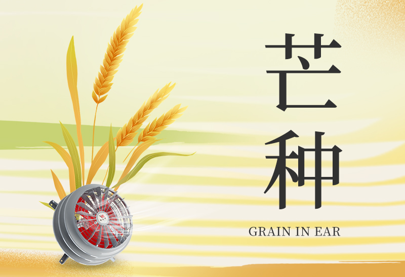 赛达通|耕种梦想，收获万丈光芒
