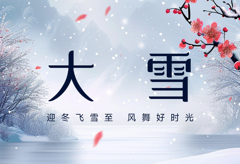 赛达通丨迎冬飞雪至，风舞好时光